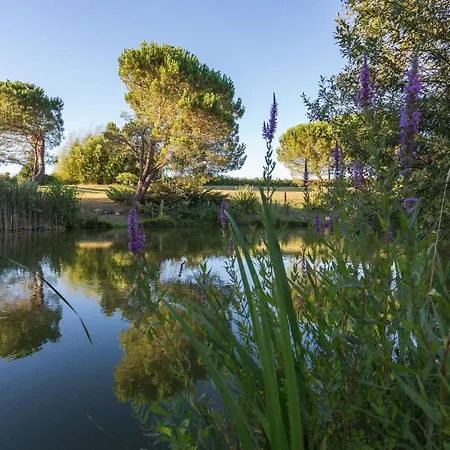 فندق مبيت وإفطار La Marviniere Saint-Bonnet-sur-Gironde