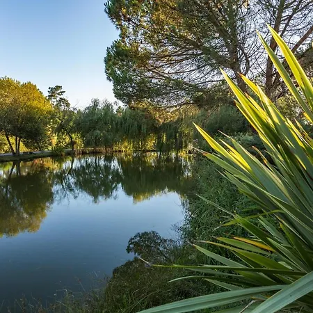 La Marviniere فندق مبيت وإفطار Saint-Bonnet-sur-Gironde