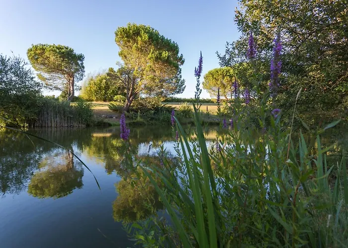 Bed and breakfast La Marviniere Saint-Bonnet-sur-Gironde