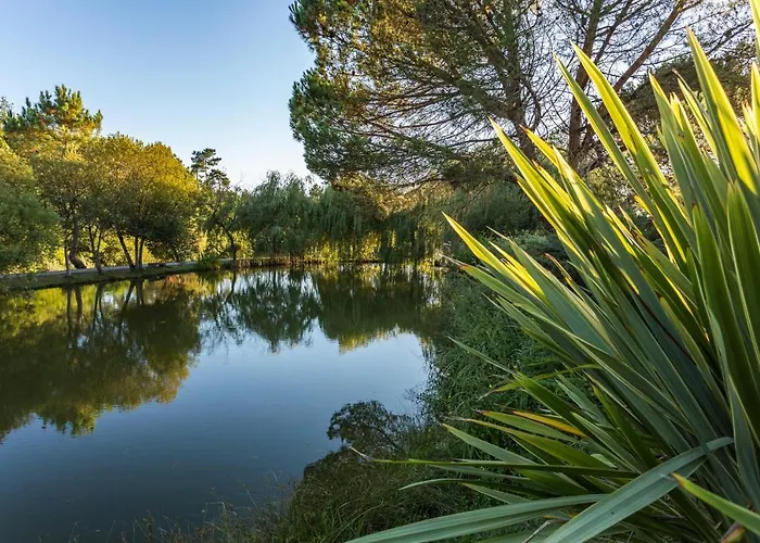 La Marviniere Bed and breakfast Saint-Bonnet-sur-Gironde